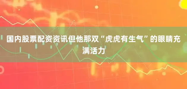 国内股票配资资讯但他那双“虎虎有生气”的眼睛充满活力