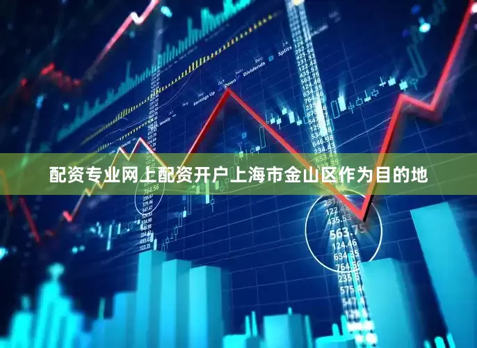 配资专业网上配资开户上海市金山区作为目的地