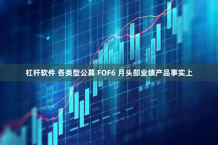 杠杆软件 各类型公募 FOF6 月头部业绩产品事实上