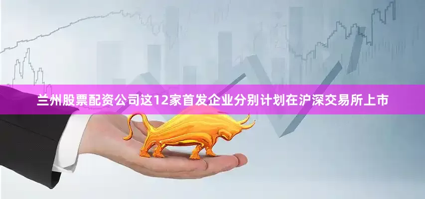 兰州股票配资公司这12家首发企业分别计划在沪深交易所上市