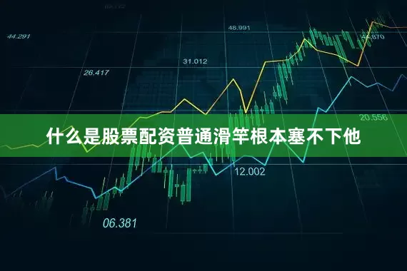 什么是股票配资普通滑竿根本塞不下他